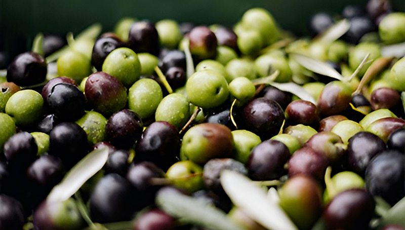 olive